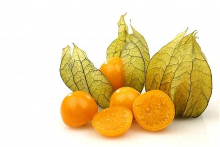 Golden Barry – A Super Fruta