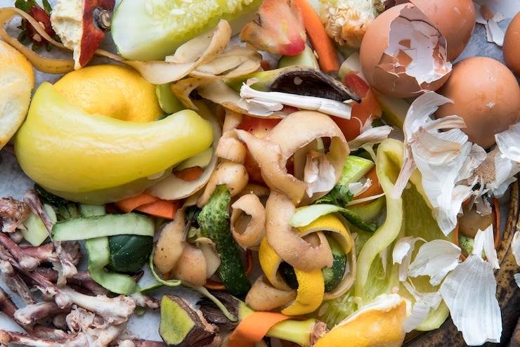 Aproveitar as cascas de alimentos é uma prática que alia saúde, evita o desperdício e maximiza o valor nutricional de frutas