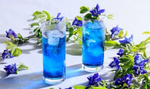 Gin Tônica com Flor de Clitória