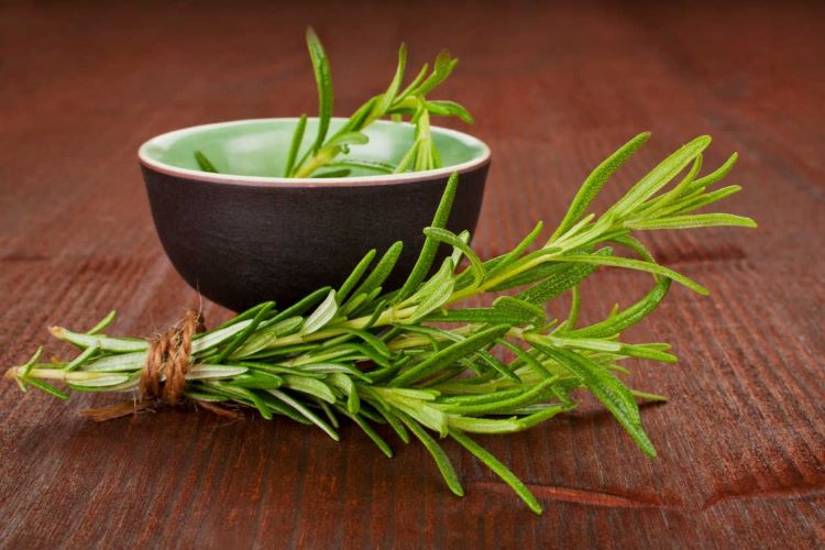 Alecrim: como consumir para trazer benefícios para o corpo. Erva aromática usada há séculos na culinária e na medicina tradicional.