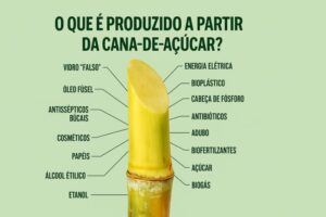 Descubra como a cana-de-açúcar é uma potência de sustentabilidade, gerando energia elétrica e bioplásticos até cosméticos e antibióticos.