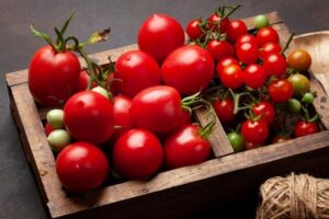 Como Conservar Tomates Corretamente. Conservar tomates da maneira correta é essencial para preservar o sabor, a textura e os nutrientes