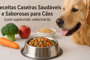 Receitas Caseiras Saudáveis e Saborosas para Cães. Oferecer refeições caseiras ao seu cão pode trazer muitos benefícios, como alimentos