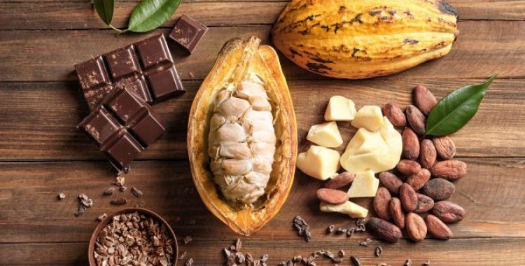 5 maneiras de incorporar cacau na sua dieta