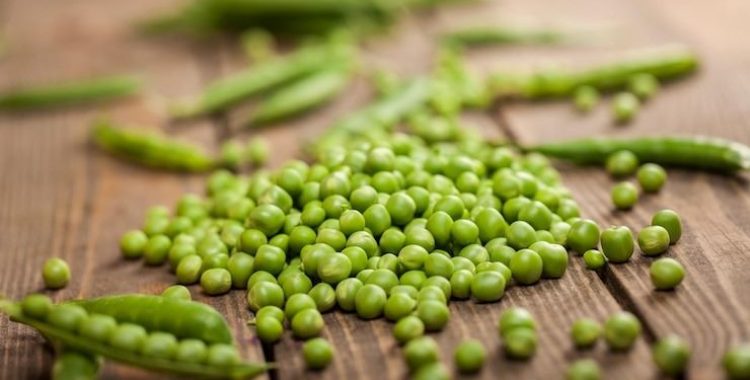 9 Razões para Incluir Ervilhas na Dieta. Exploramos aqui todos os benefícios detalhados de incluir ervilhas na alimentação