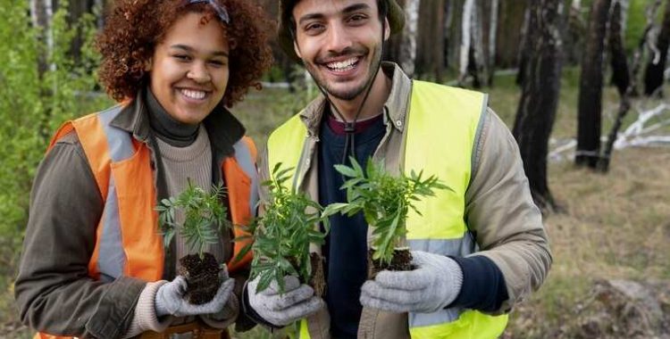 A Importância da Preservação Ambiental para Pequenos destacando práticas sustentáveis que agregam valor e aumentam a competitividade.