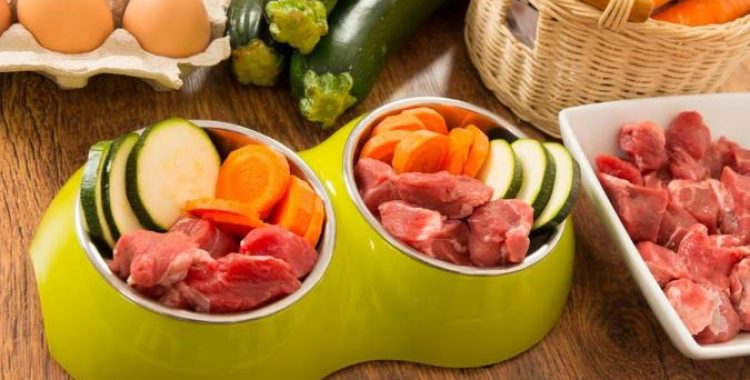 Alimentos Light e Obesos Para Pets