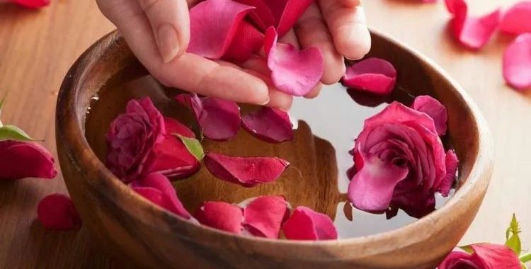 Aprenda a fazer sua própria água de rosas