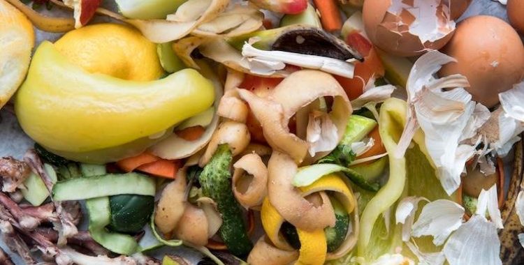 Aproveitar as cascas de alimentos é uma prática que alia saúde, evita o desperdício e maximiza o valor nutricional de frutas