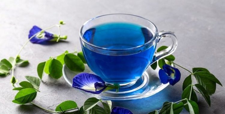 Chá de Flor de Clitória ternátea e seus benefícios