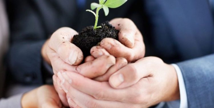 Como Implementar um Estilo de Vida Sustentável