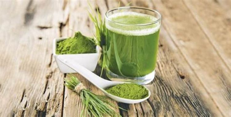 Como aumentar o consumo de clorofila