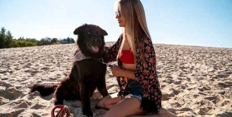 Cuidados Essenciais com os Pets na Praia