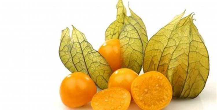 Golden Barry – A Super Fruta