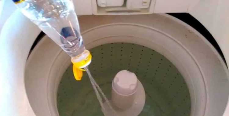 Limpeza Completa de Máquina de Lavar Roupas