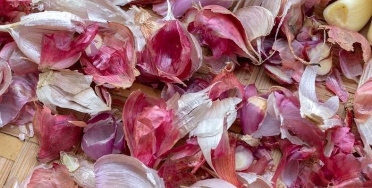 Não jogue fora as cascas do alho