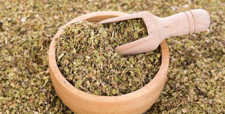 O Orégano Estimula a Produção de Colágeno e auxilia na prevenção do câncer. Veja em nosso site a matéria completa