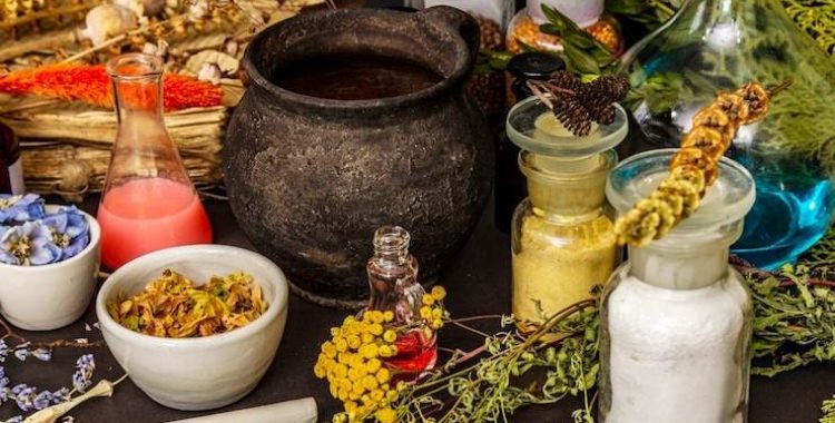 Plantas Poderosas da Medicina Antiga e Suas Funções Curativas. Incorporar essas plantas na rotina diária proporciona diversos benefícios