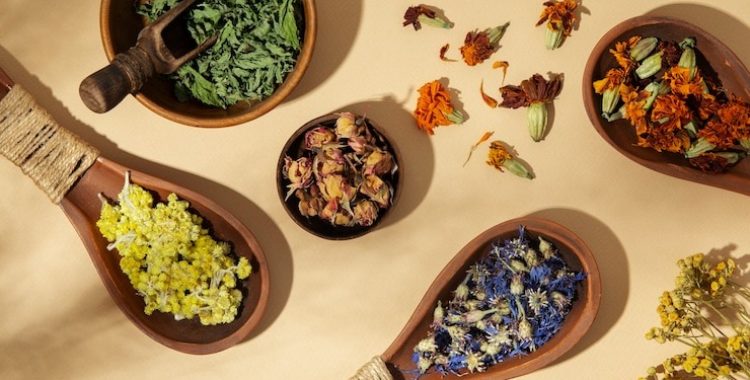 Plantas medicinais