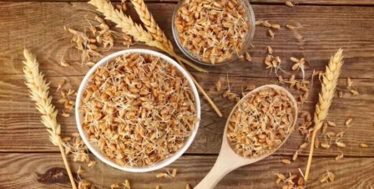 Quais os benefícios da aveia