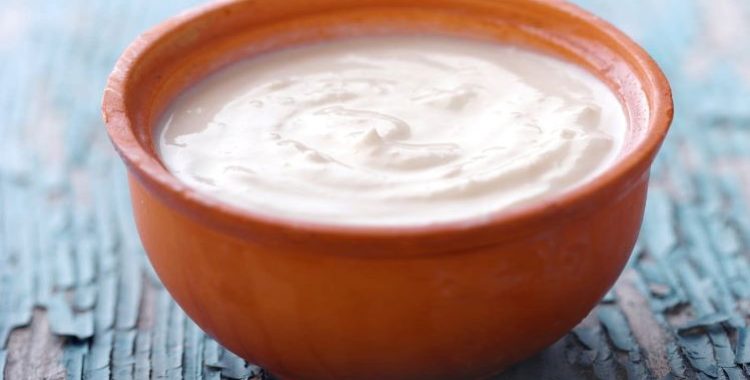 Substituto Saudável ao Creme de Leite, cremos para o preparo de várias receitas salgadas e receitas doces, sem lactose.