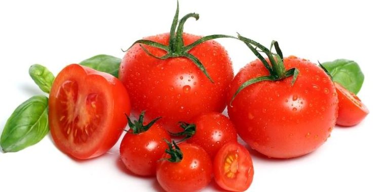Como cultivar tomates em casa? Este guia completo ensina tudo o que você precisa saber, desde a escolha das sementes até a colheita.