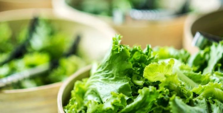 Como Conservar a Alface na Geladeira e Evitar que Murche: Dicas Práticas e Eficazes